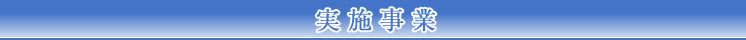 実施事業